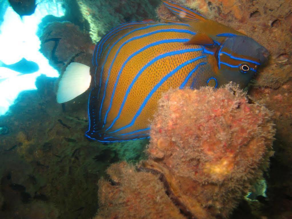 Ombak Dive Resort Pulau Perhentian Kecil Εξωτερικό φωτογραφία